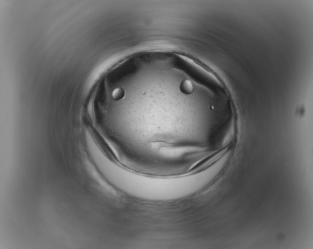 X0000110961477200907022209