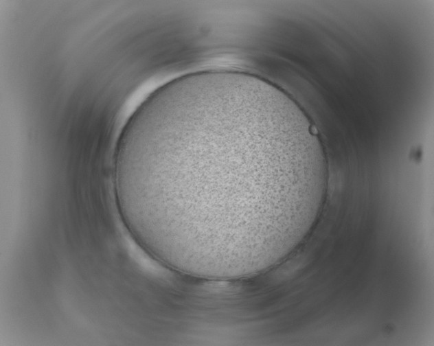 X0000110961478200907022209