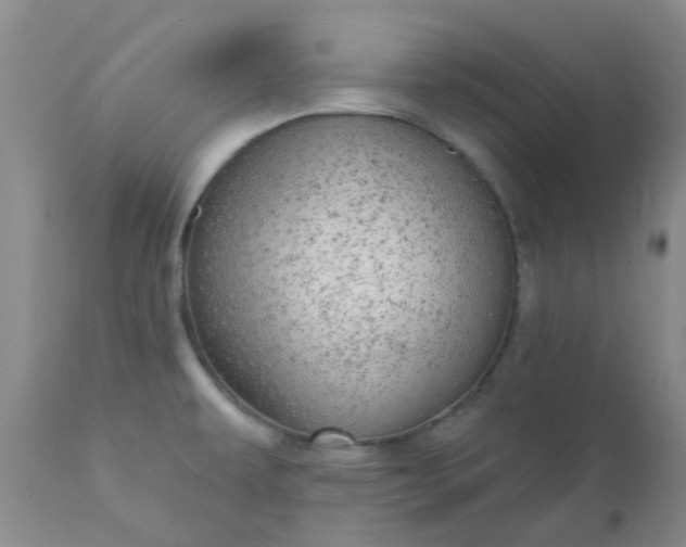 X0000110961479200907022209