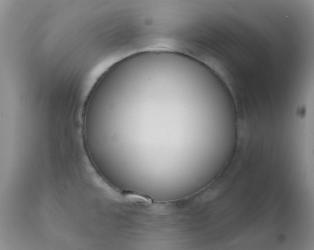 X0000110961480200907022209