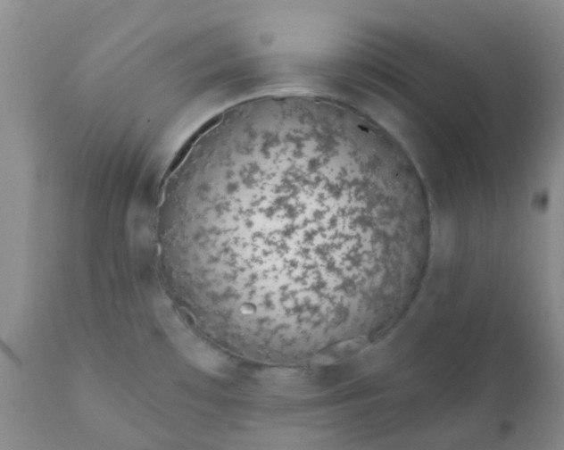 X0000110961481200907022209