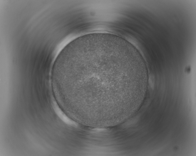 X0000110961482200907022209