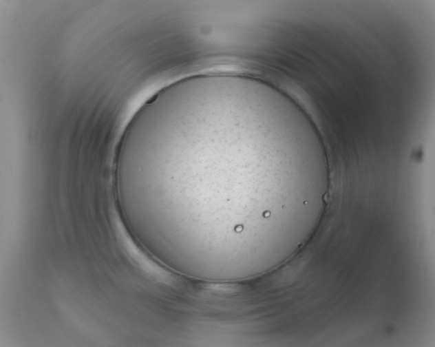 X0000110961483200907022209