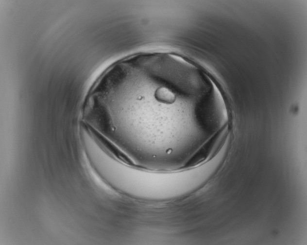 X0000110961484200907022209