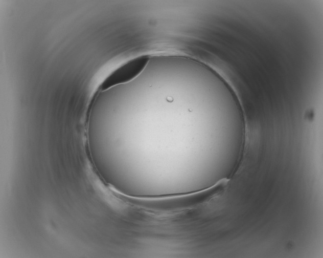 X0000110961485200907022209