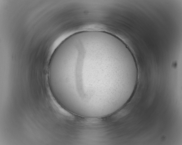 X0000110961486200907022209