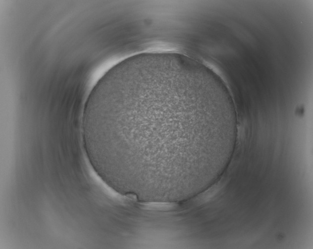 X0000110961487200907022209