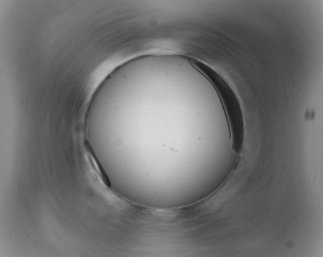 X0000110961488200907022209