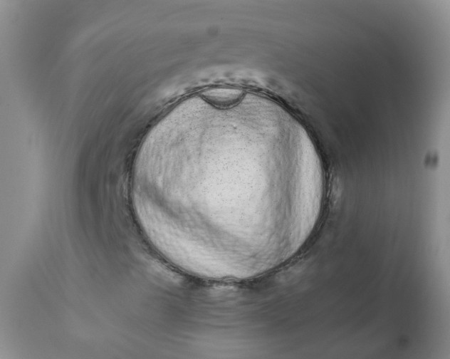 X0000110961489200907022208