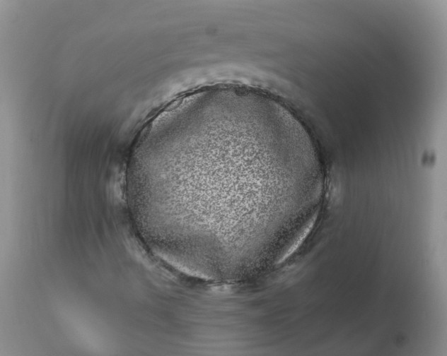 X0000110961490200907022208