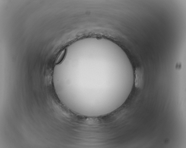 X0000110961491200907022208