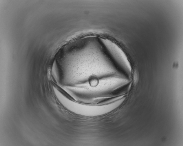 X0000110961492200907022208