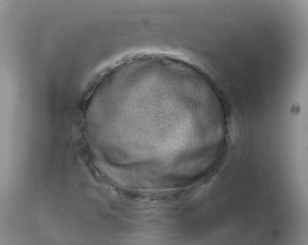 X0000110961494200907022208