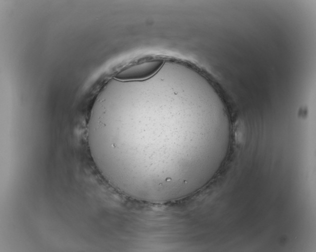 X0000110961495200907022208