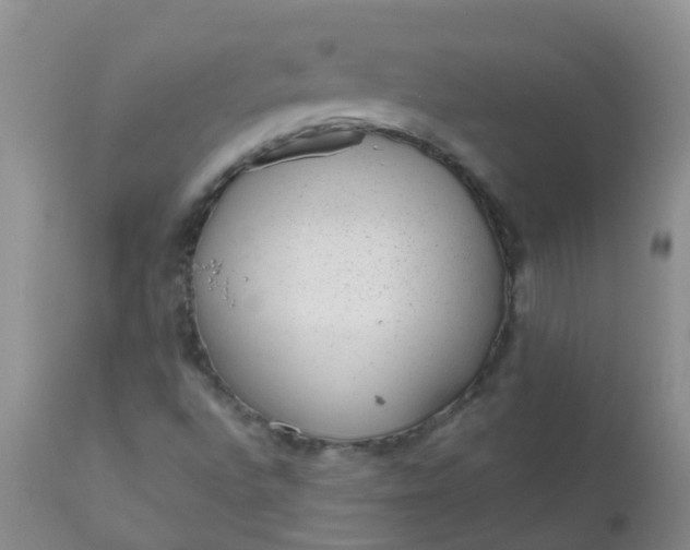 X0000110961496200907022208