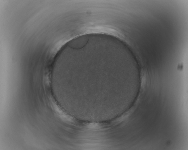 X0000110961497200907022208