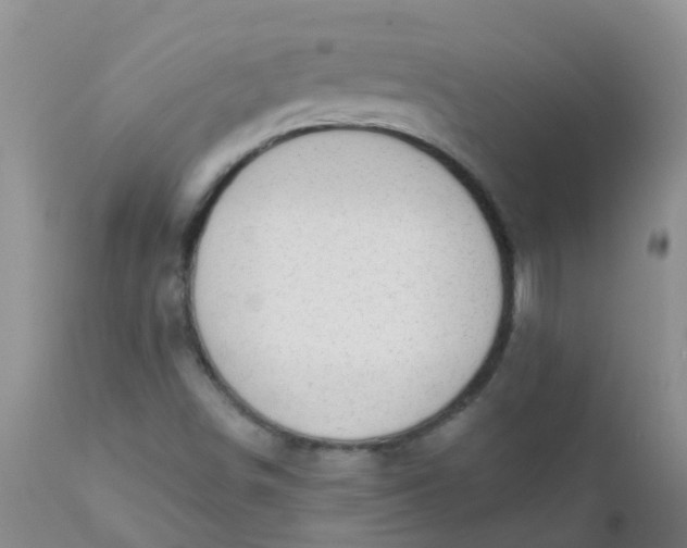 X0000110961498200907022208