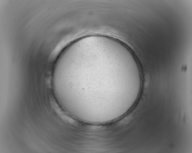 X0000110961499200907022209