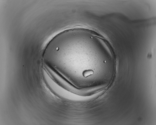 X0000110961500200907022209