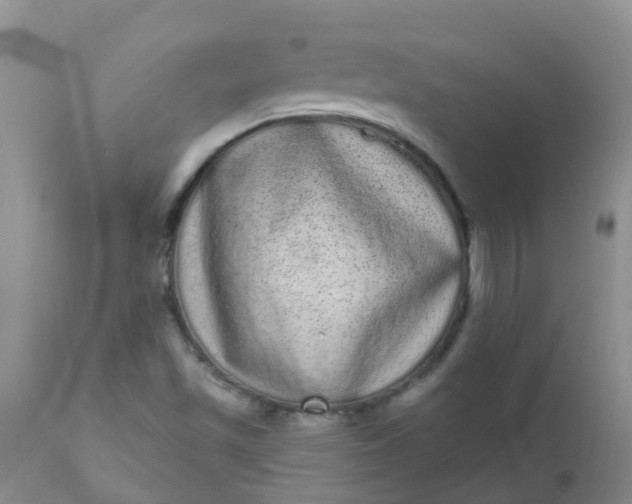 X0000110961501200907022209