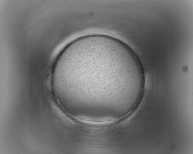 X0000110961502200907022209