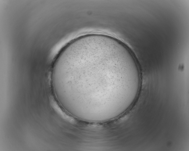 X0000110961503200907022209