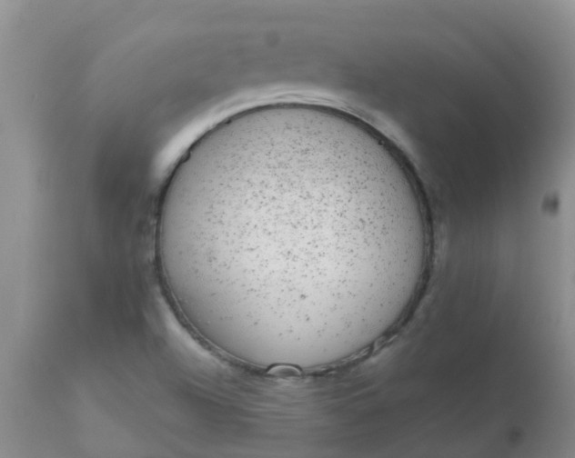 X0000110961504200907022209