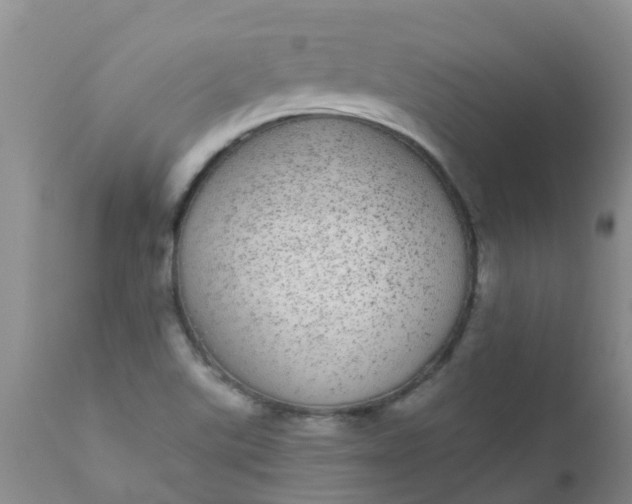 X0000110961507200907022209