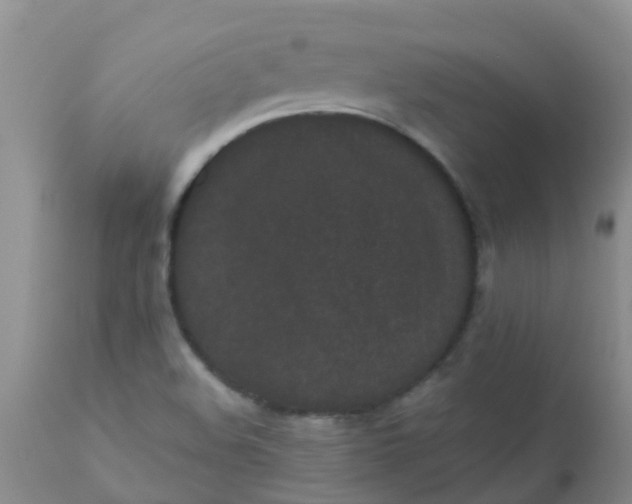 X0000110961508200907022209