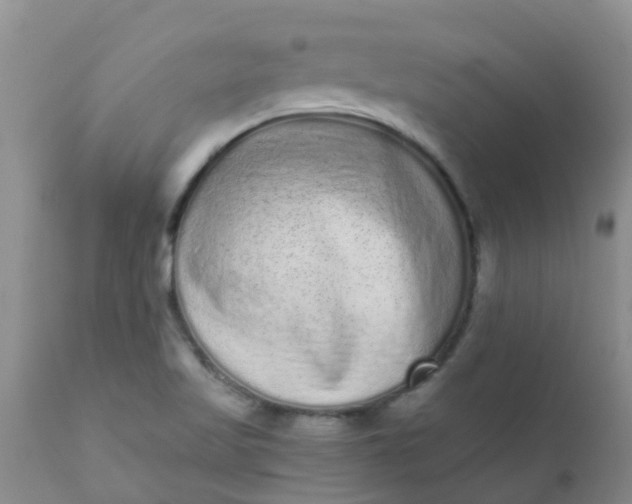 X0000110961509200907022209