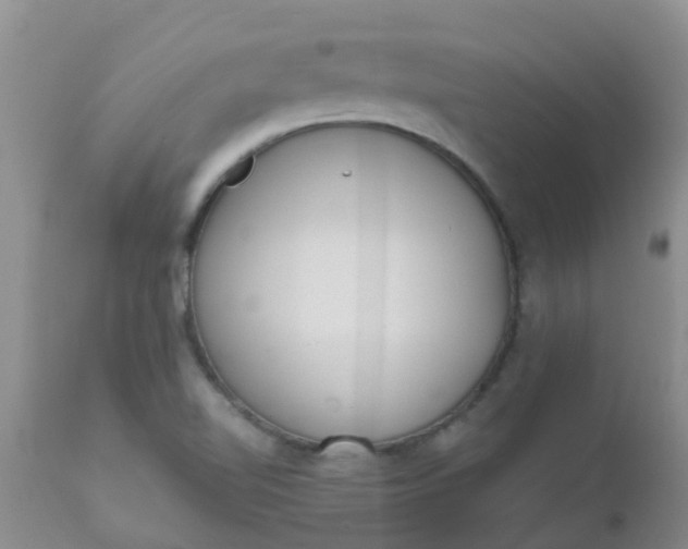 X0000110961510200907022209