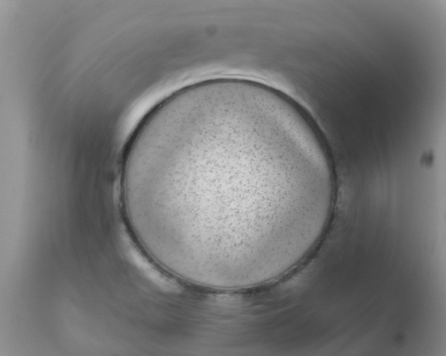 X0000110961511200907022209