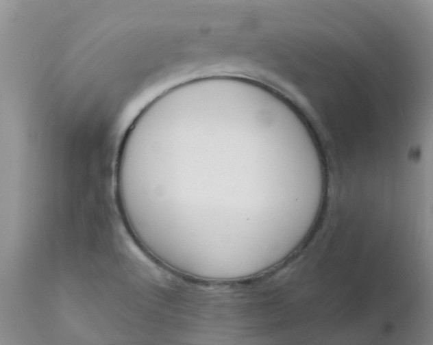 X0000110961512200907022209