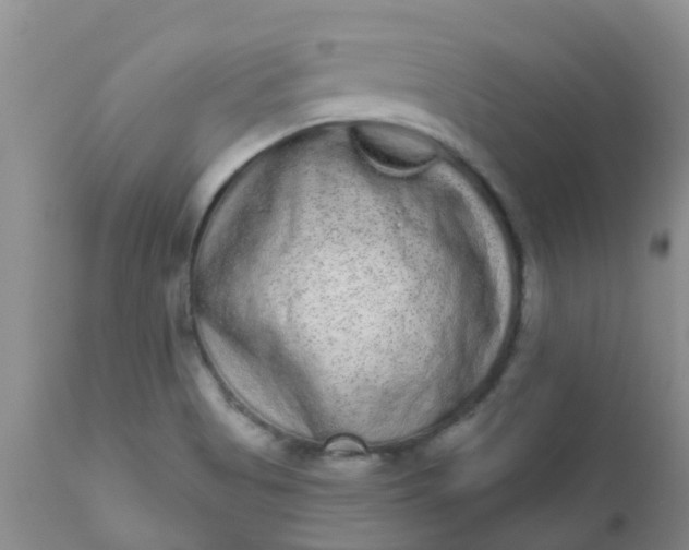 X0000110961513200907022209