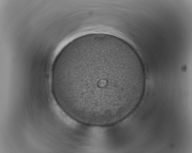 X0000110961514200907022209