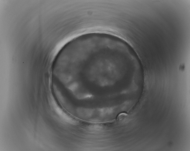 X0000110961515200907022209