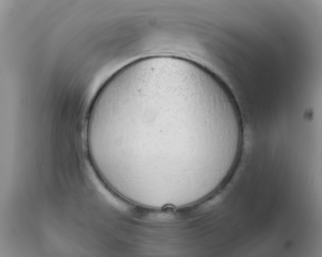 X0000110961517200907022209