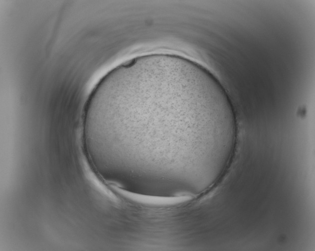 X0000110961518200907022209