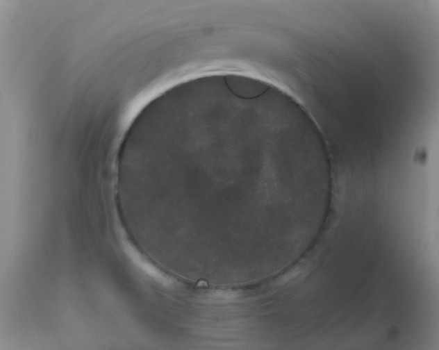 X0000110961519200907022209