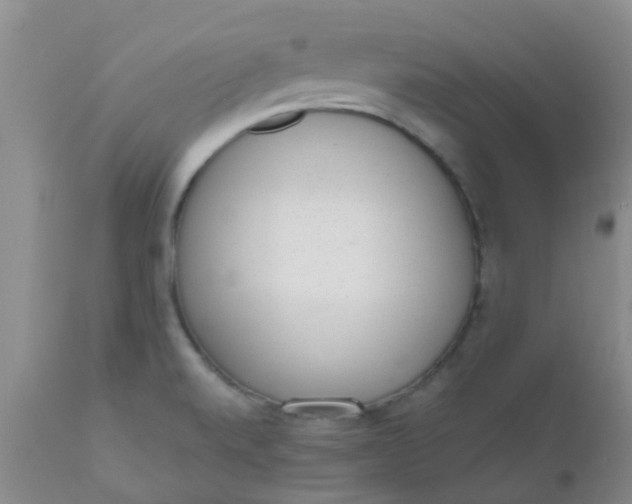 X0000110961520200907022209