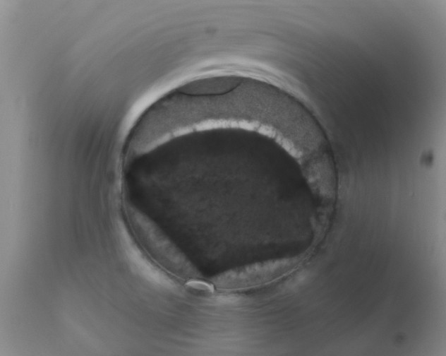 X0000110961522200907022209