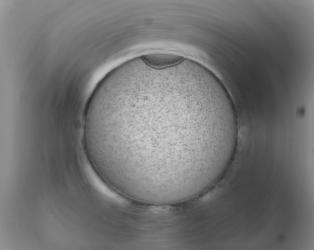 X0000110961523200907022209