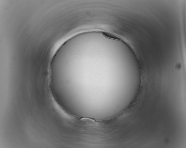 X0000110961524200907022209