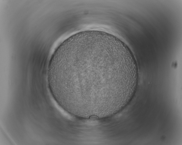 X0000110961525200907022209