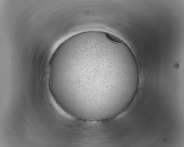 X0000110961526200907022209