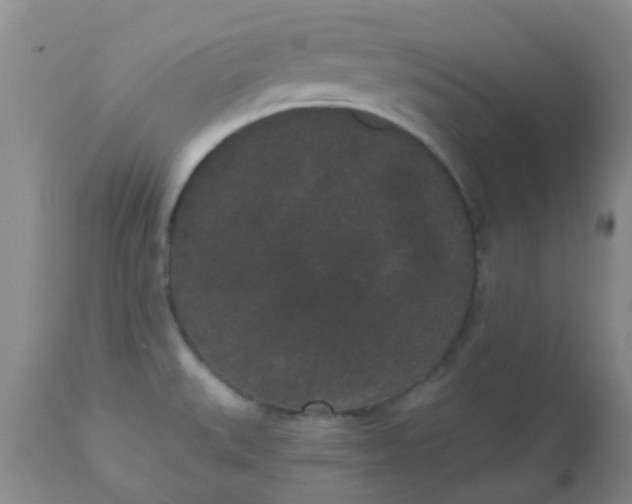 X0000110961527200907022209