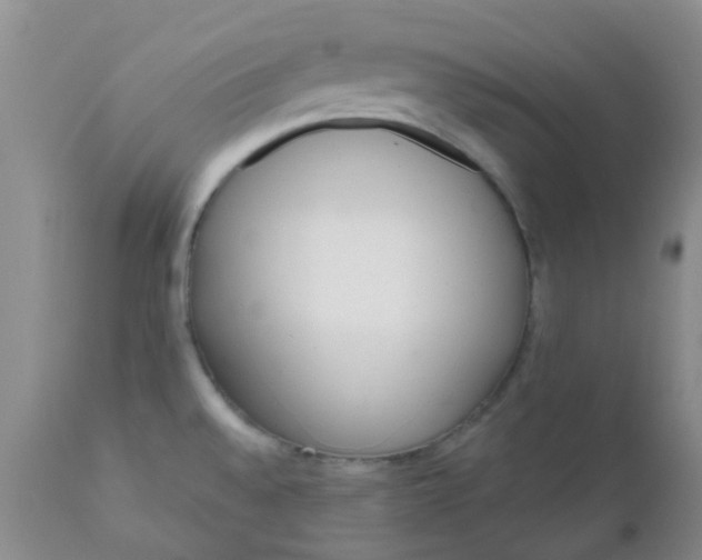 X0000110961528200907022209