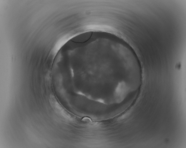 X0000110961529200907022209