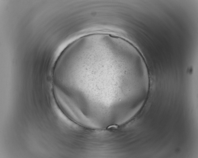 X0000110961531200907022209