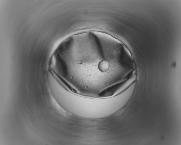 X0000110961532200907022209